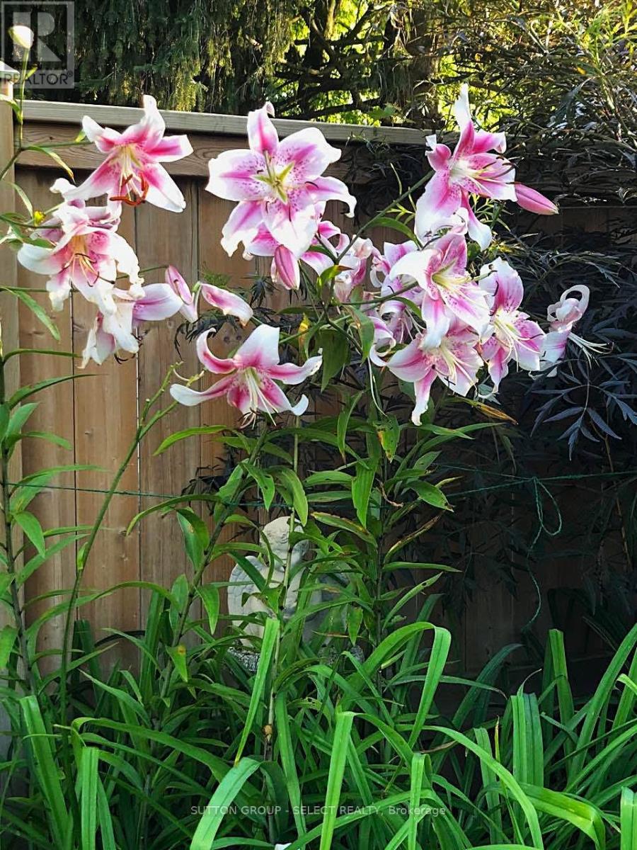 1054 Chippewa Drive, London East, Ontario  N5V 2T7 - Photo 30 - X13026742