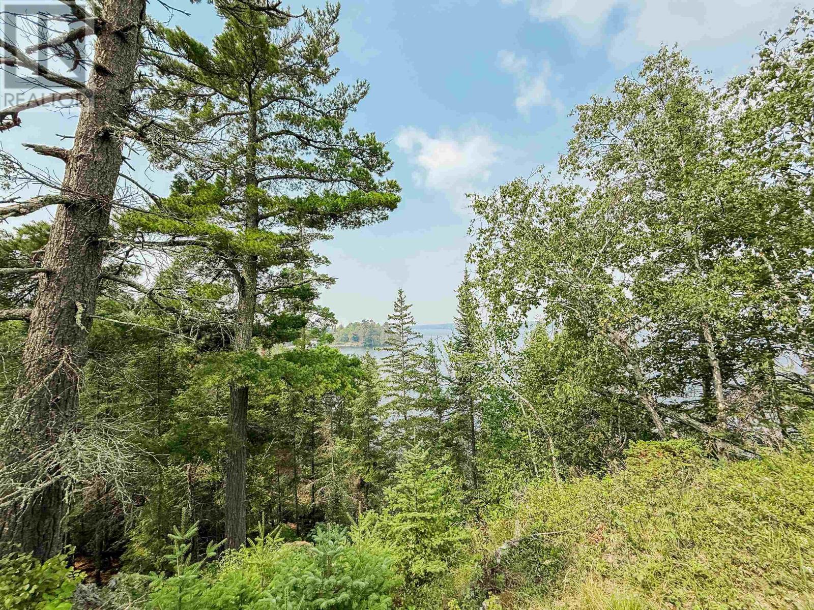 496 Coney Island, Kenora, Ontario  P9N 4T1 - Photo 13 - TB2600791