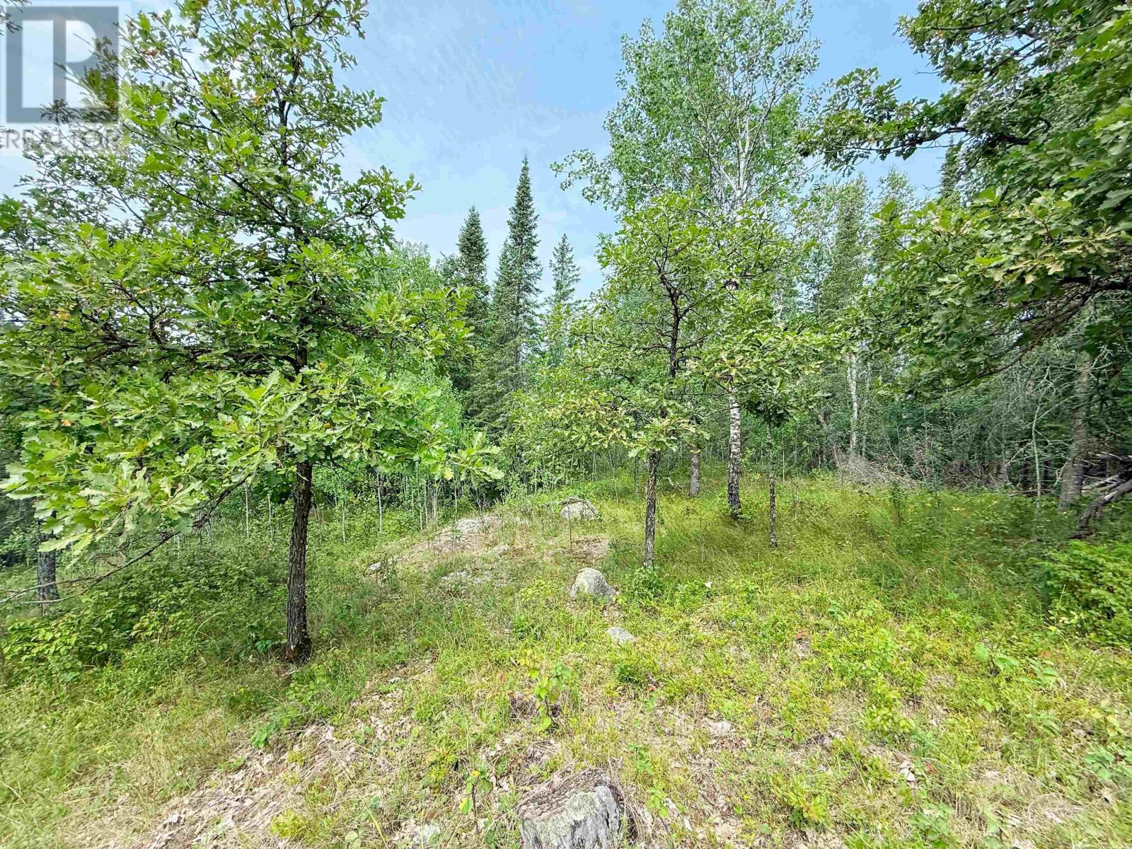 496 Coney Island, Kenora, Ontario  P9N 4T1 - Photo 14 - TB2600791