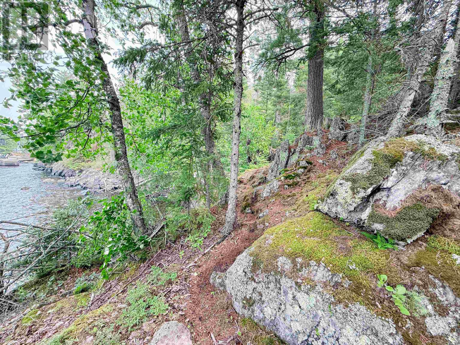 496 Coney Island, Kenora, Ontario  P9N 4T1 - Photo 19 - TB2600791