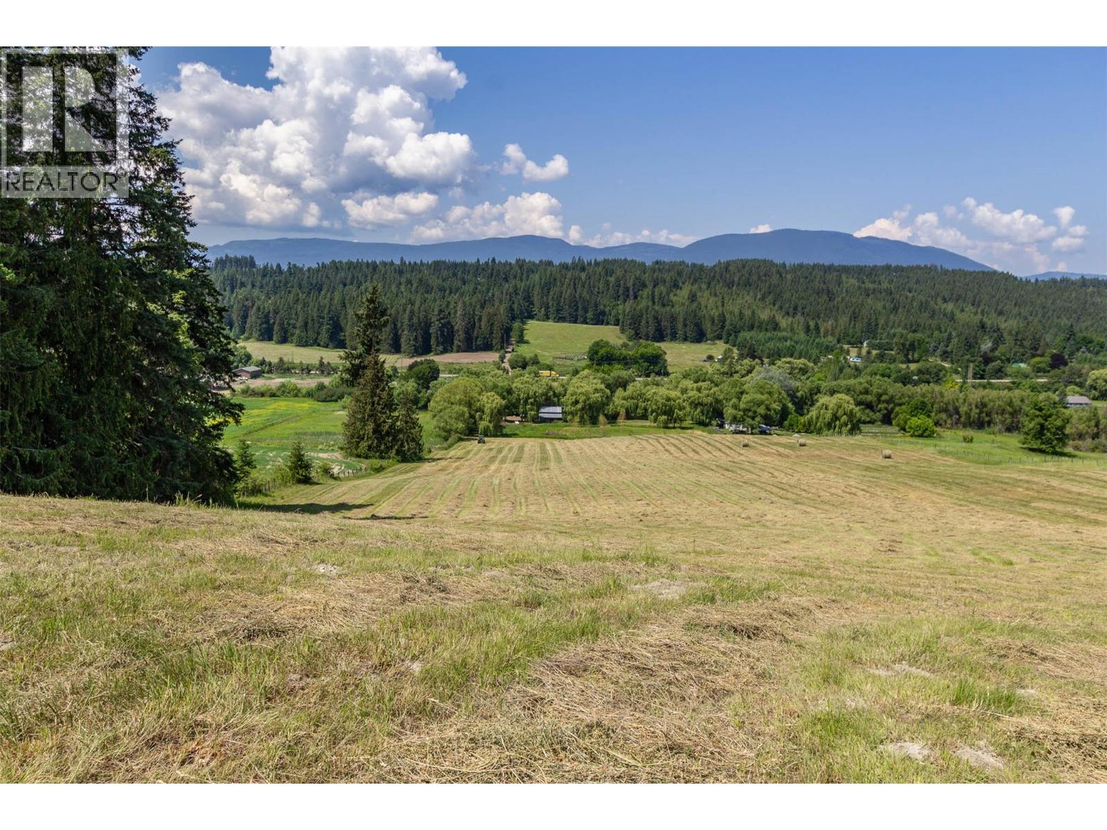 4080 50 Street Ne, Salmon Arm, British Columbia  V1E 1Y5 - Photo 18 - 10384167