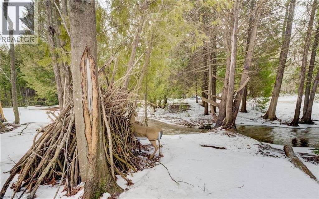 263074 Wilder Lake Road, Durham, Ontario  N0G 1R0 - Photo 18 - 40814719