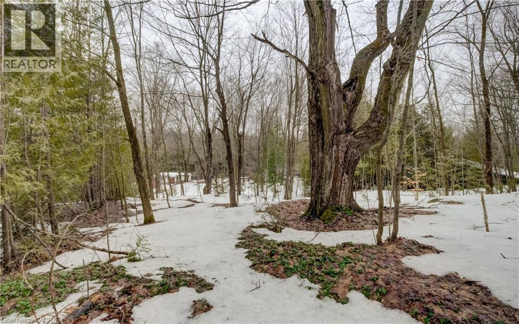 263074 Wilder Lake Road, Durham, Ontario  N0G 1R0 - Photo 12 - 40814719