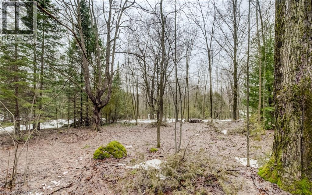 263074 Wilder Lake Road, Durham, Ontario  N0G 1R0 - Photo 10 - 40814719
