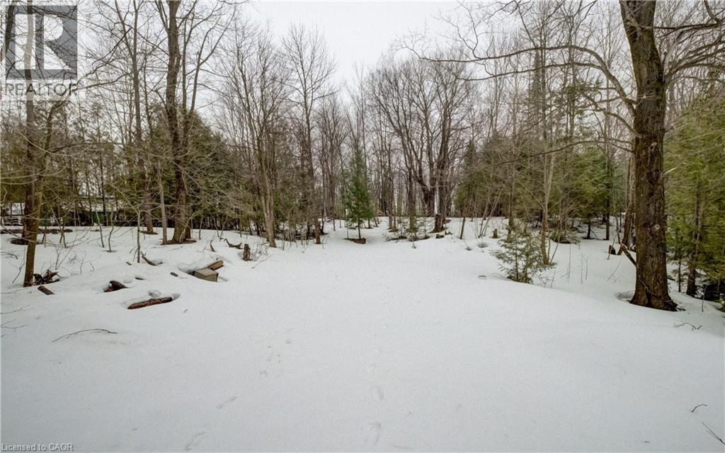 263074 Wilder Lake Road, Durham, Ontario  N0G 1R0 - Photo 17 - 40814719