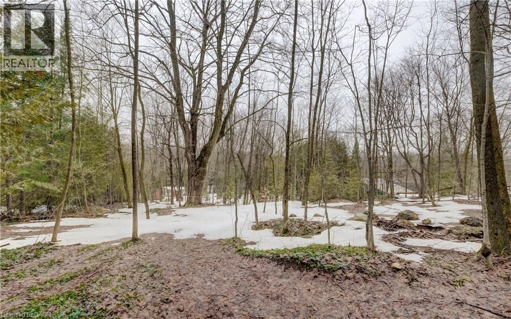 263074 Wilder Lake Road, Durham, Ontario  N0G 1R0 - Photo 11 - 40814719