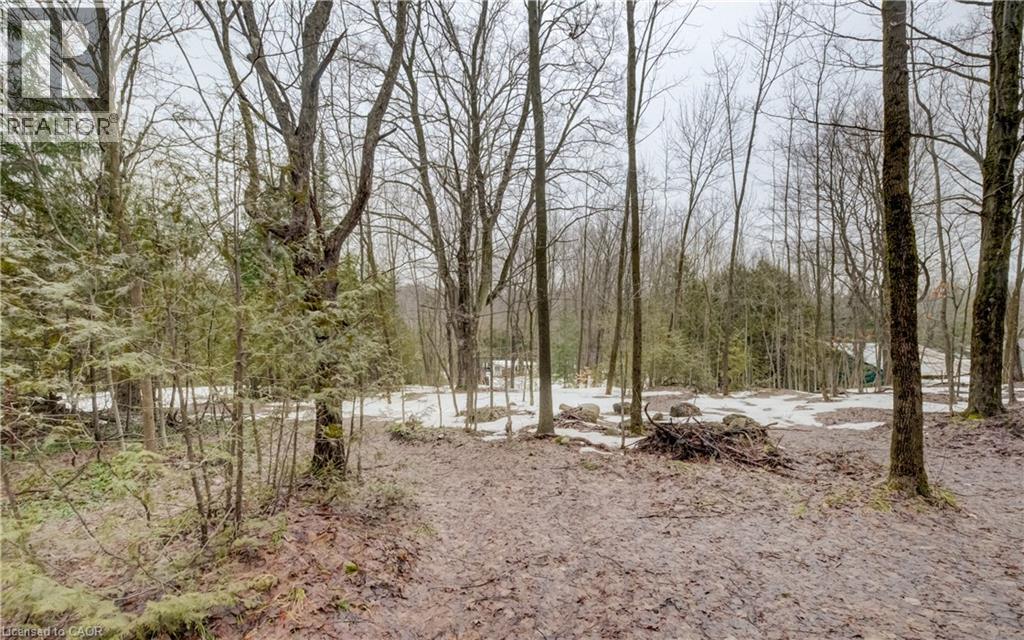 263074 Wilder Lake Road, Durham, Ontario  N0G 1R0 - Photo 8 - 40814719