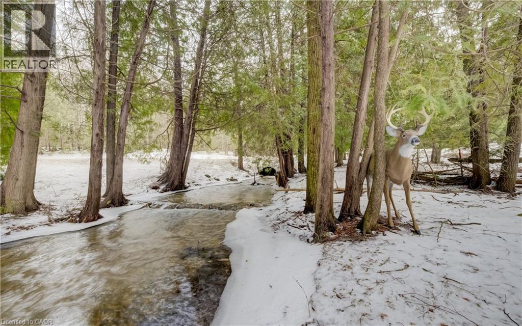 263074 Wilder Lake Road, Durham, Ontario  N0G 1R0 - Photo 20 - 40814719