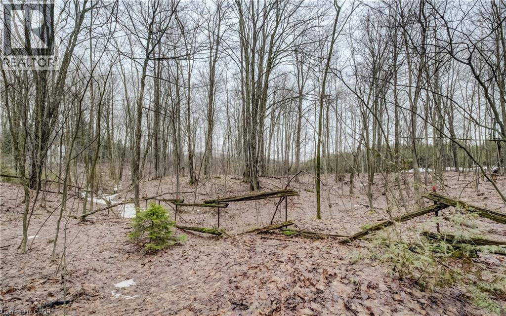 263074 Wilder Lake Road, Durham, Ontario  N0G 1R0 - Photo 9 - 40814719