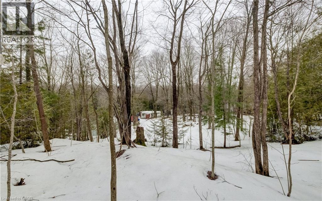 263074 Wilder Lake Road, Durham, Ontario  N0G 1R0 - Photo 13 - 40814719