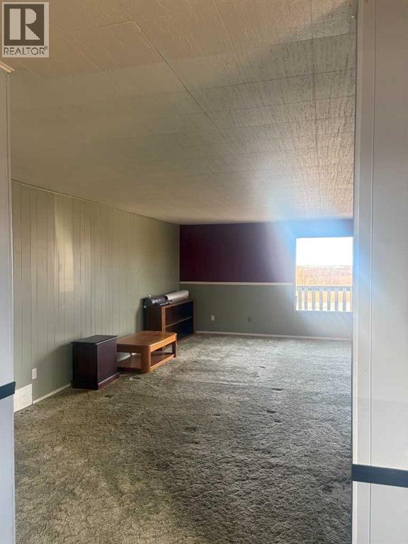 64050 Hwy 49, Rural Spirit River No. 133, Alberta  T0H 3G0 - Photo 6 - A2275181