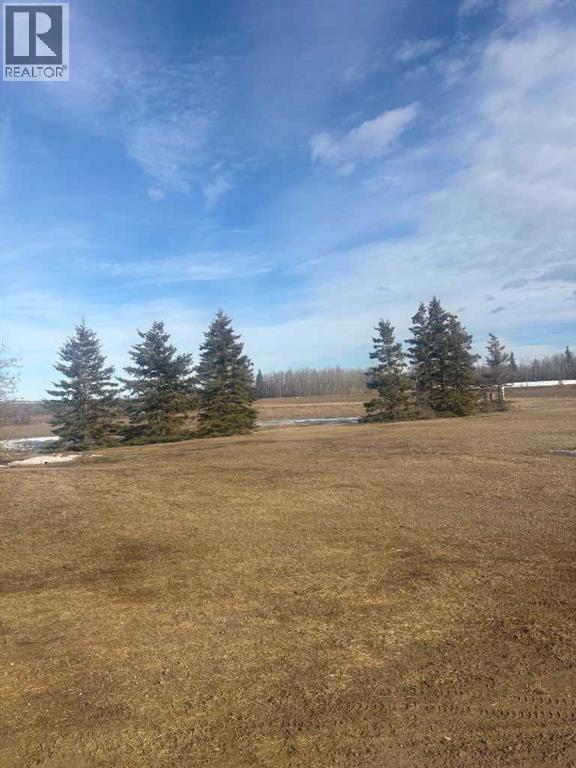 64050 Hwy 49, Rural Spirit River No. 133, Alberta  T0H 3G0 - Photo 26 - A2275181