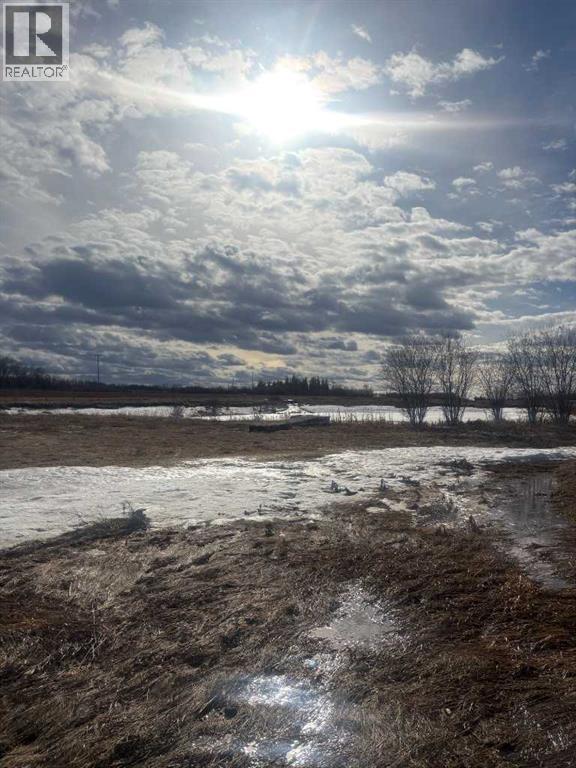 64050 Hwy 49, Rural Spirit River No. 133, Alberta  T0H 3G0 - Photo 21 - A2275181