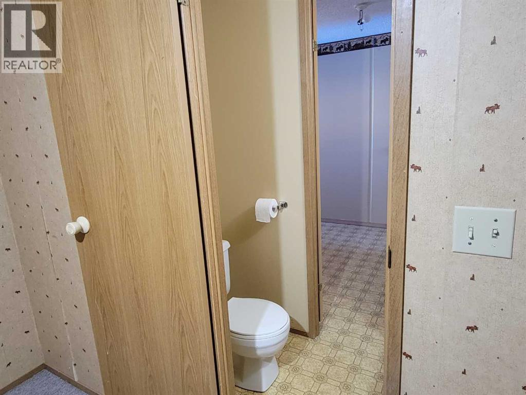 112 3 Avenue E, Alliance, Alberta  T0B 0A0 - Photo 13 - A2304047