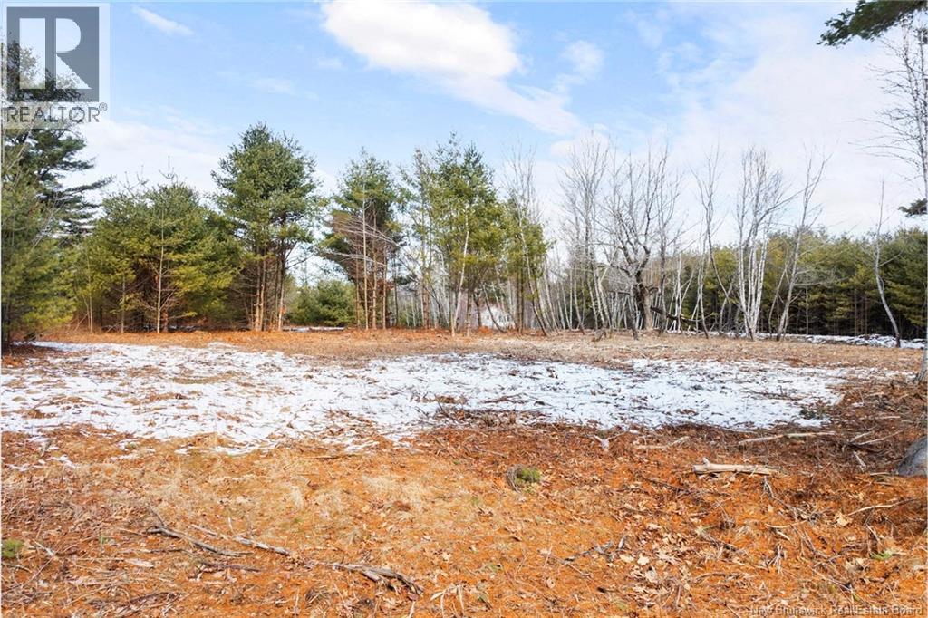 Lot 1 - Carman Street, Clarks Corner, New Brunswick  E4B 1K3 - Photo 5 - NB135989