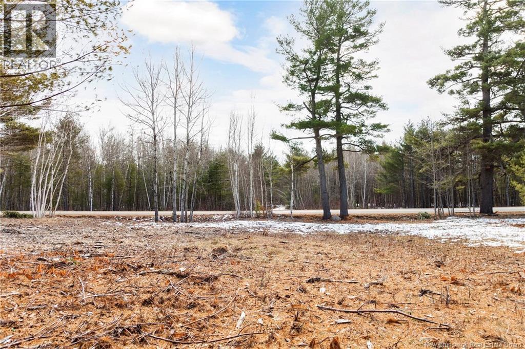 Lot 1 - Carman Street, Clarks Corner, New Brunswick  E4B 1K3 - Photo 6 - NB135989