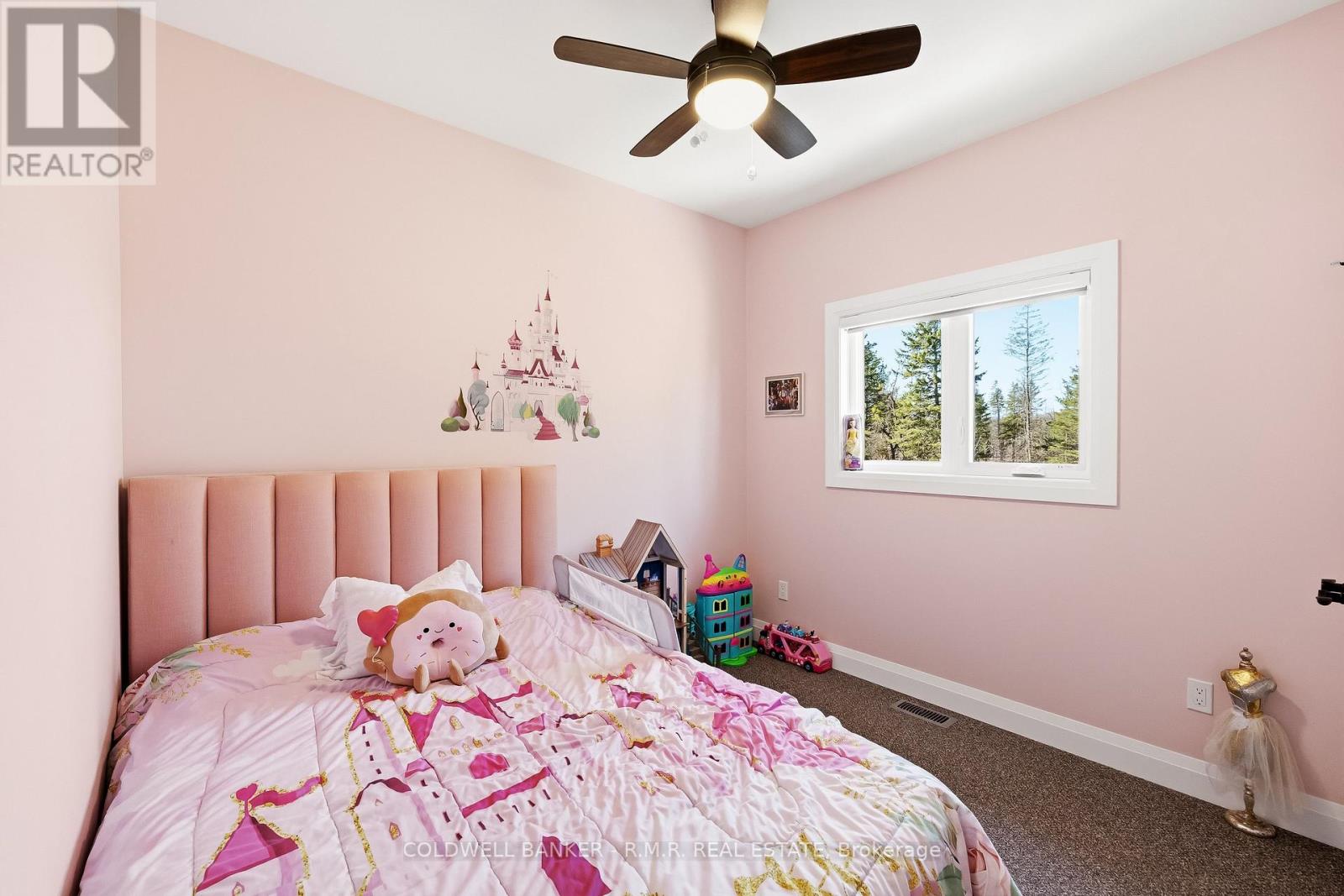 289 Tully's Road, Trent Lakes, Ontario  K0M 1A0 - Photo 30 - X13036266