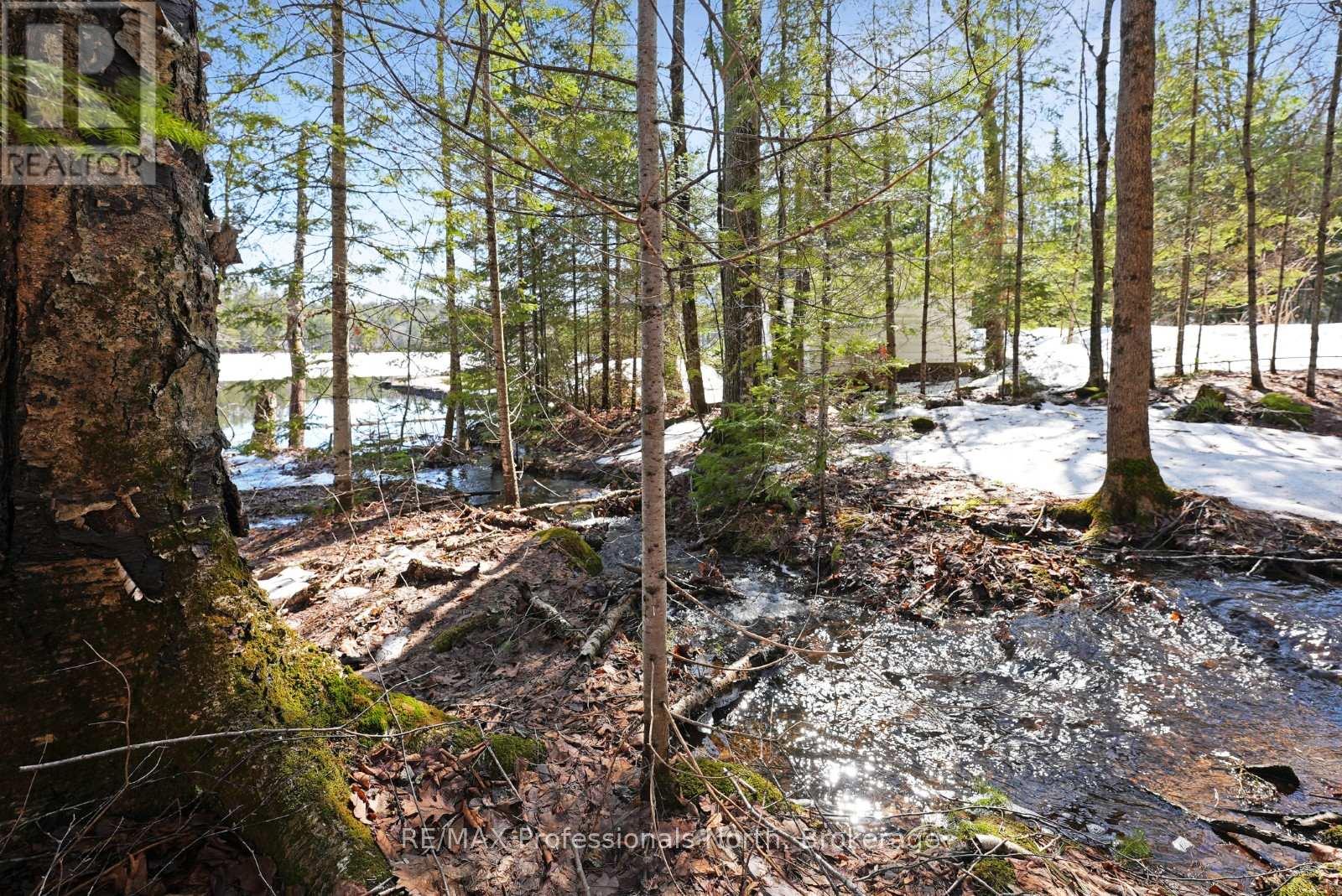 3382 Kushog Lake Road, Algonquin Highlands, Ontario  K0M 1S0 - Photo 29 - X13036348