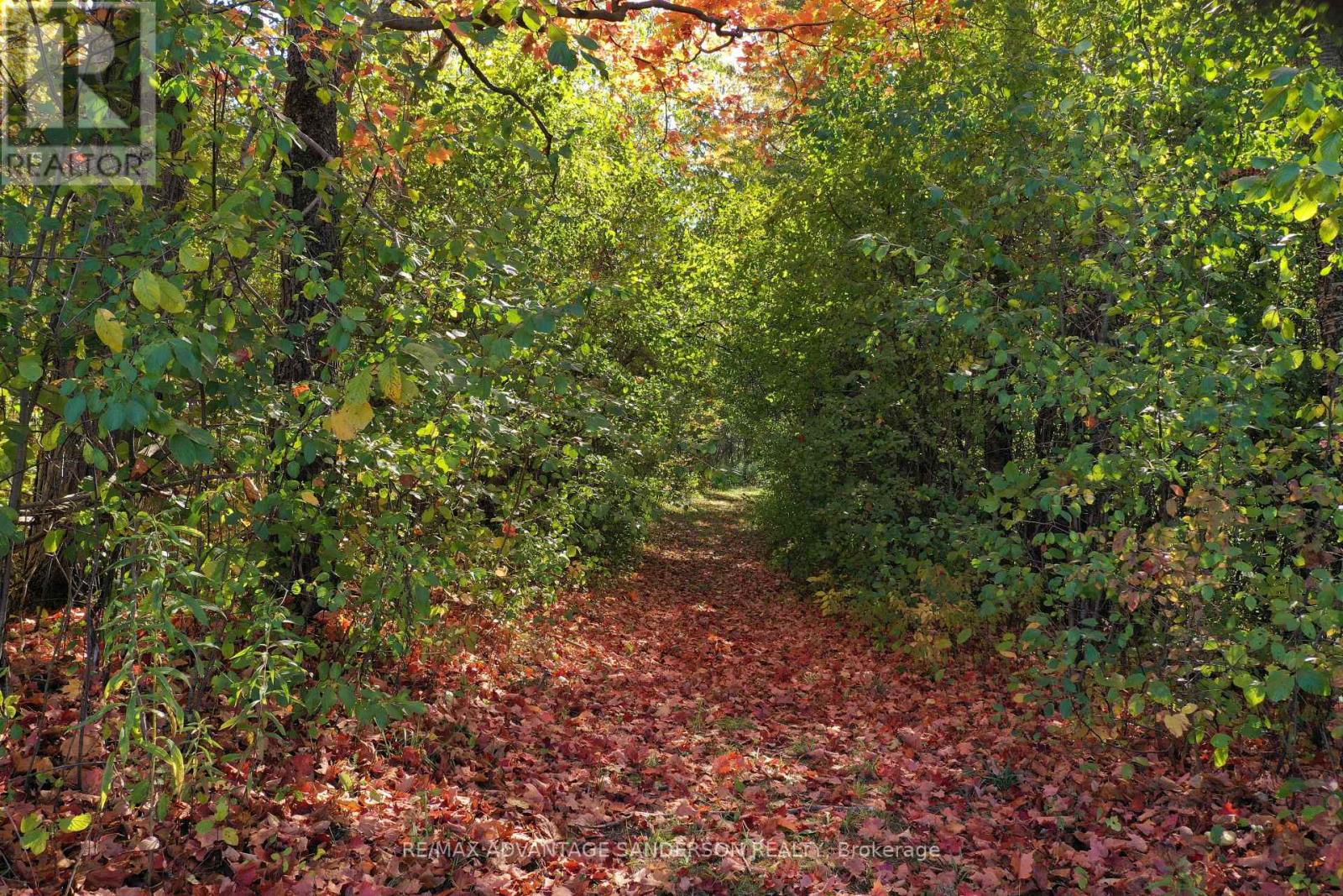 13157 Medway Road, Middlesex Centre, Ontario  N0M 1C0 - Photo 18 - X13036188