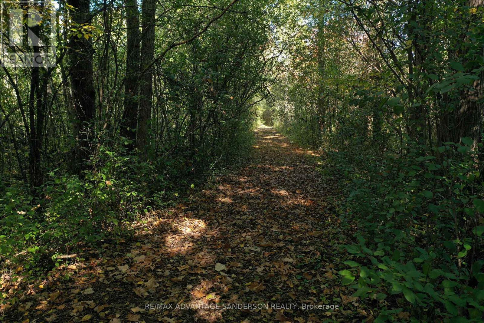 13157 Medway Road, Middlesex Centre, Ontario  N0M 1C0 - Photo 17 - X13036192