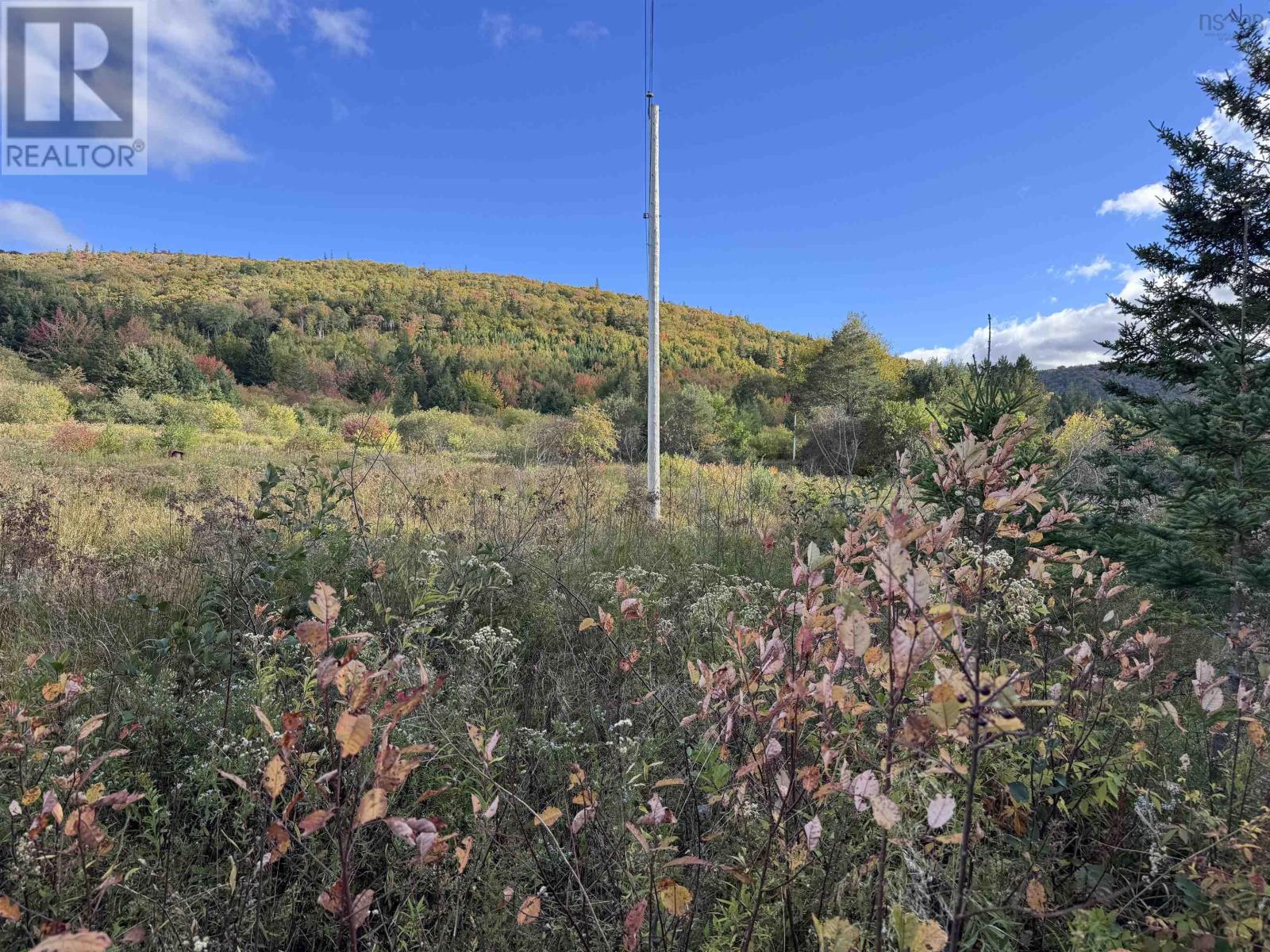 101 Ferguson Road, Kewstoke, Nova Scotia  B0E 3M0 - Photo 20 - 202607771
