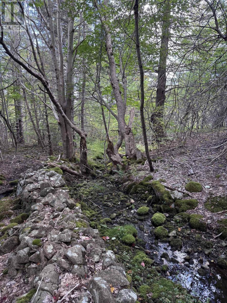 101 Ferguson Road, Kewstoke, Nova Scotia  B0E 3M0 - Photo 8 - 202607771