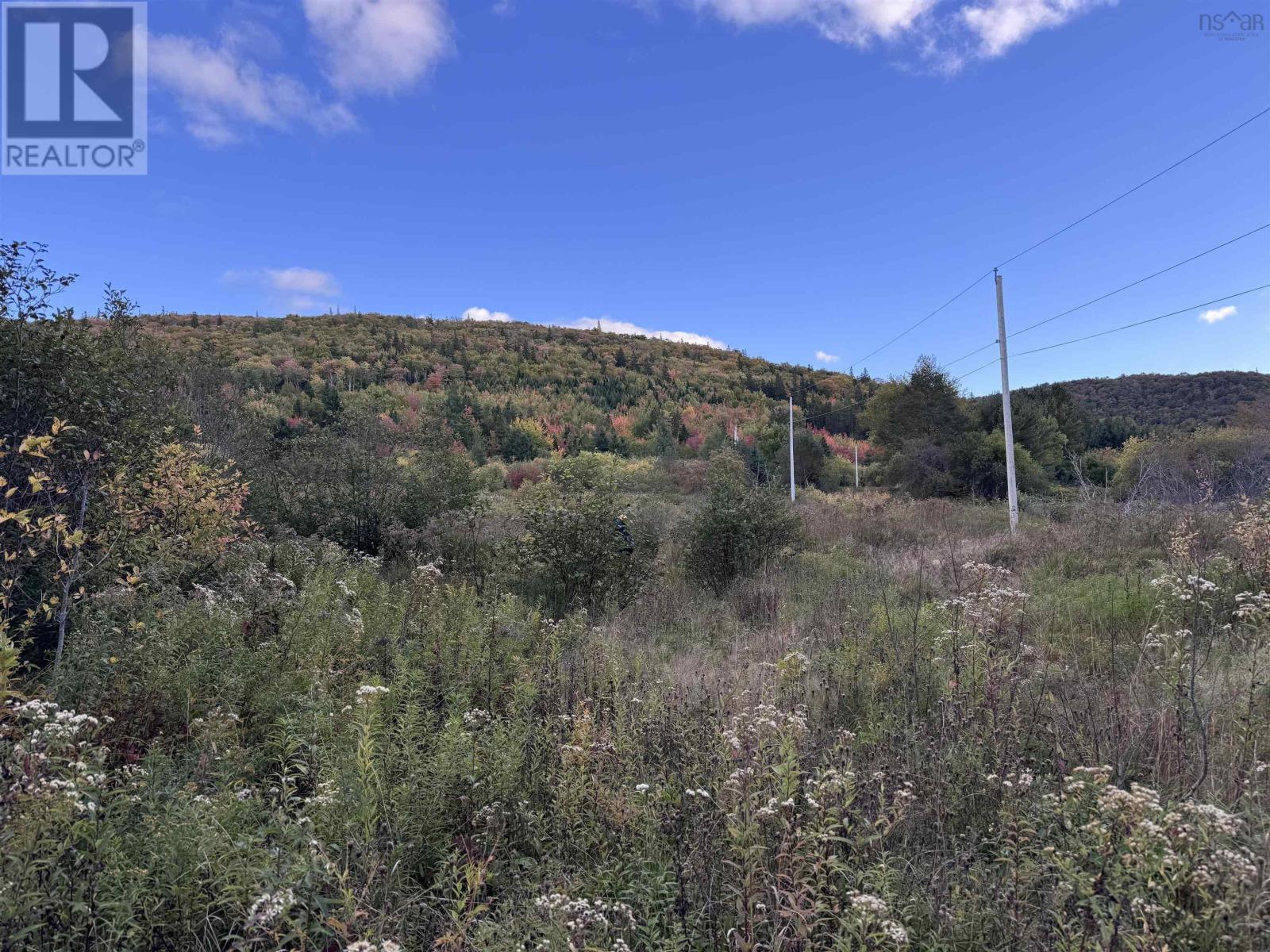 101 Ferguson Road, Kewstoke, Nova Scotia  B0E 3M0 - Photo 28 - 202607771