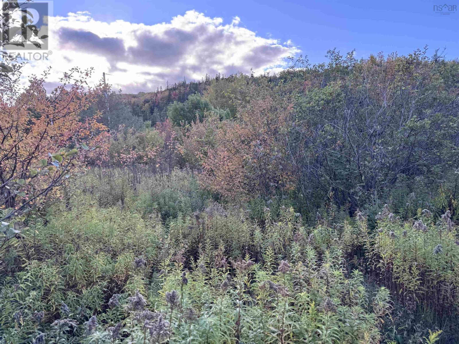 101 Ferguson Road, Kewstoke, Nova Scotia  B0E 3M0 - Photo 26 - 202607771