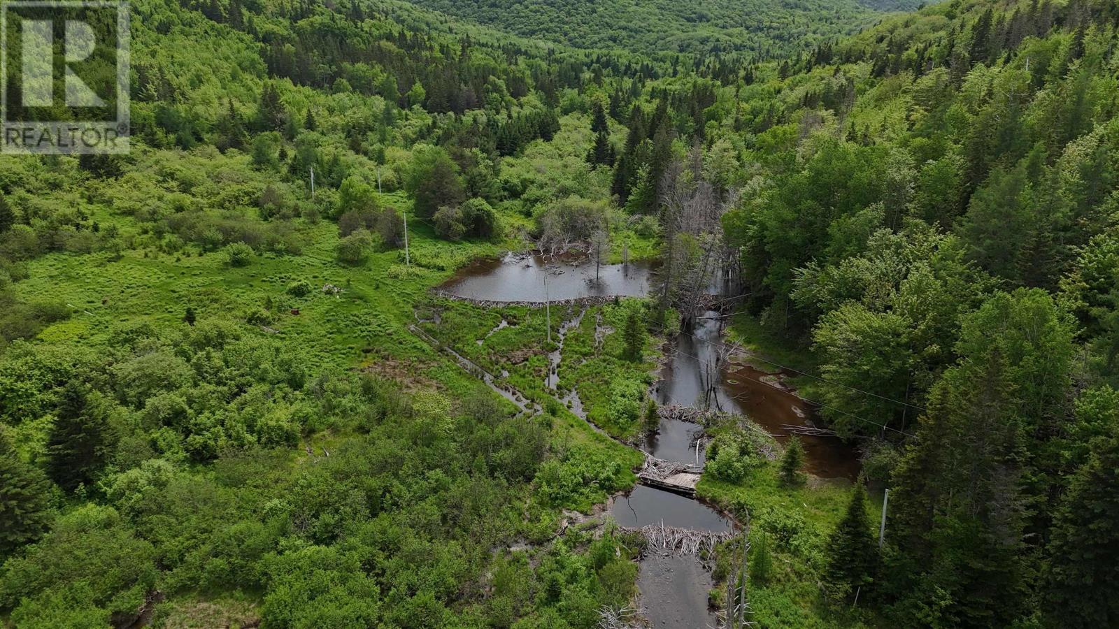 101 Ferguson Road, Kewstoke, Nova Scotia  B0E 3M0 - Photo 12 - 202607771