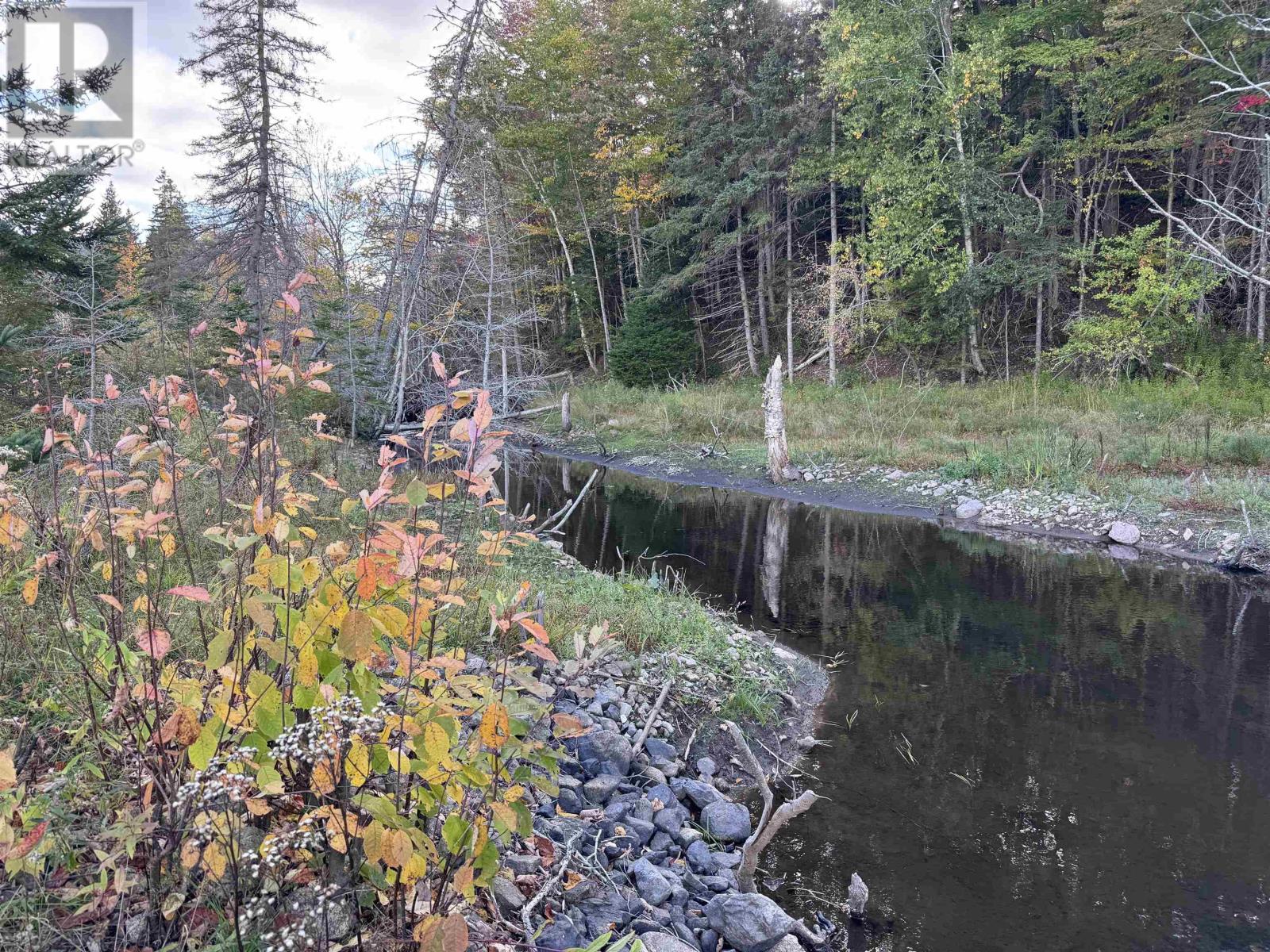 101 Ferguson Road, Kewstoke, Nova Scotia  B0E 3M0 - Photo 2 - 202607771