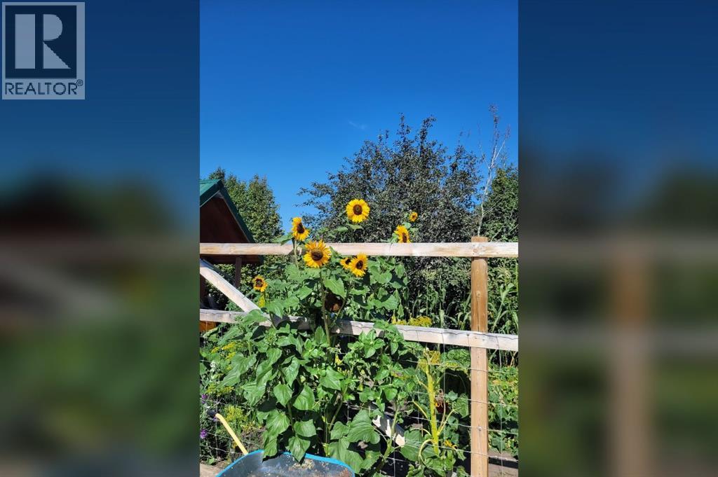 13 Destini Drive, White Sands, Alberta  T0C 3G0 - Photo 49 - A2303392