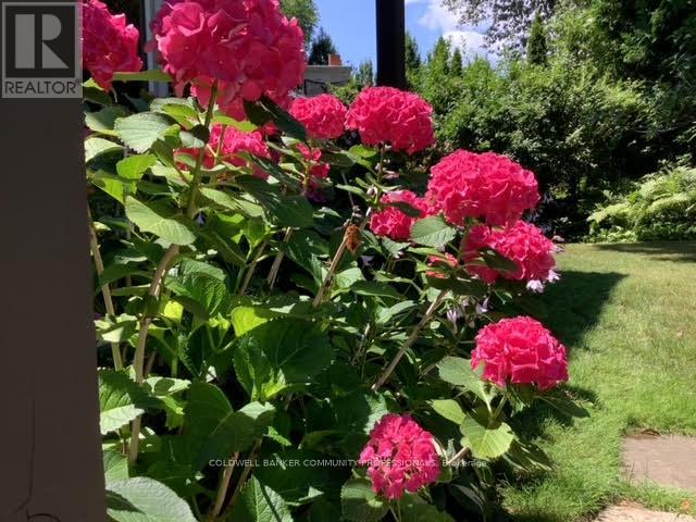 587 Sharalin Court, Burlington, Ontario  L7T 2N7 - Photo 40 - W13036466