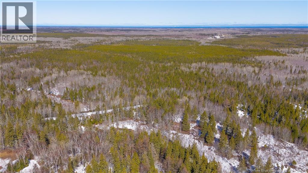 568 Des Acadiens Boulevard, Bertrand, New Brunswick  E1W 1G6 - Photo 40 - NB137365