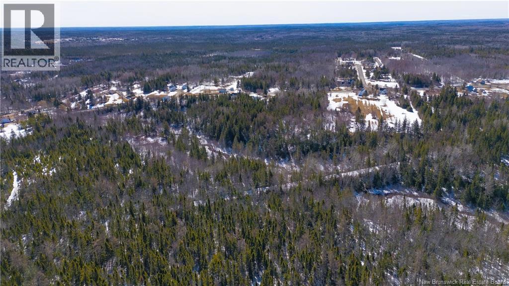 568 Des Acadiens Boulevard, Bertrand, New Brunswick  E1W 1G6 - Photo 41 - NB137365