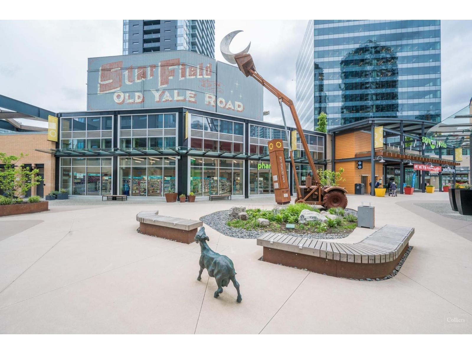 3705 13745 George Junction, Surrey, British Columbia  V3T 4Y3 - Photo 25 - R3067240