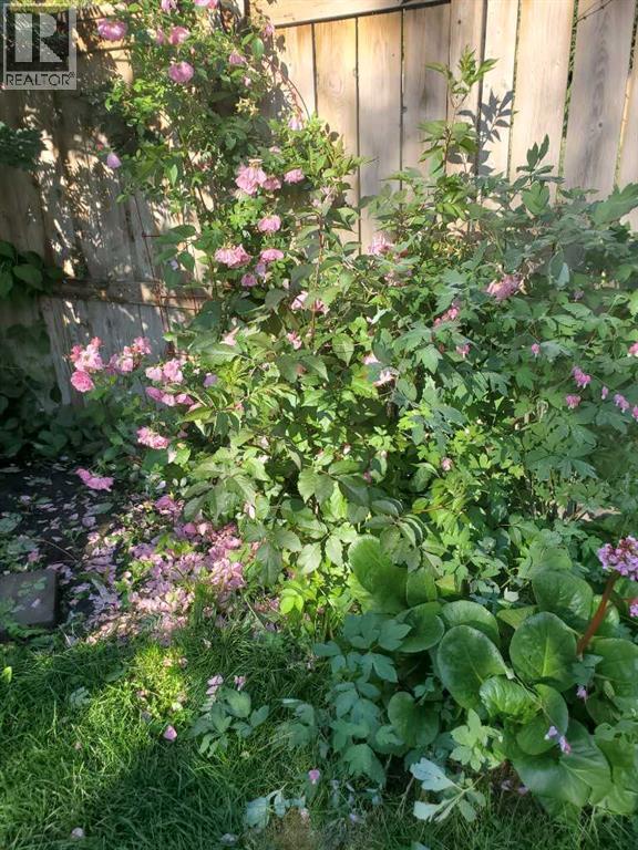 386 Mahogany Terrace Se, Calgary, Alberta  T3M 0X4 - Photo 46 - A2295960