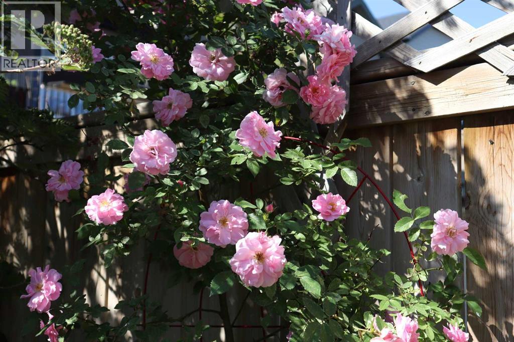 386 Mahogany Terrace Se, Calgary, Alberta  T3M 0X4 - Photo 49 - A2295960