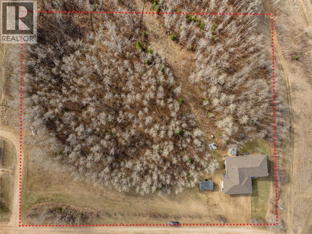 225 Lindgren Street, Ferintosh, Alberta  T0B 1M0 - Photo 32 - A2303552