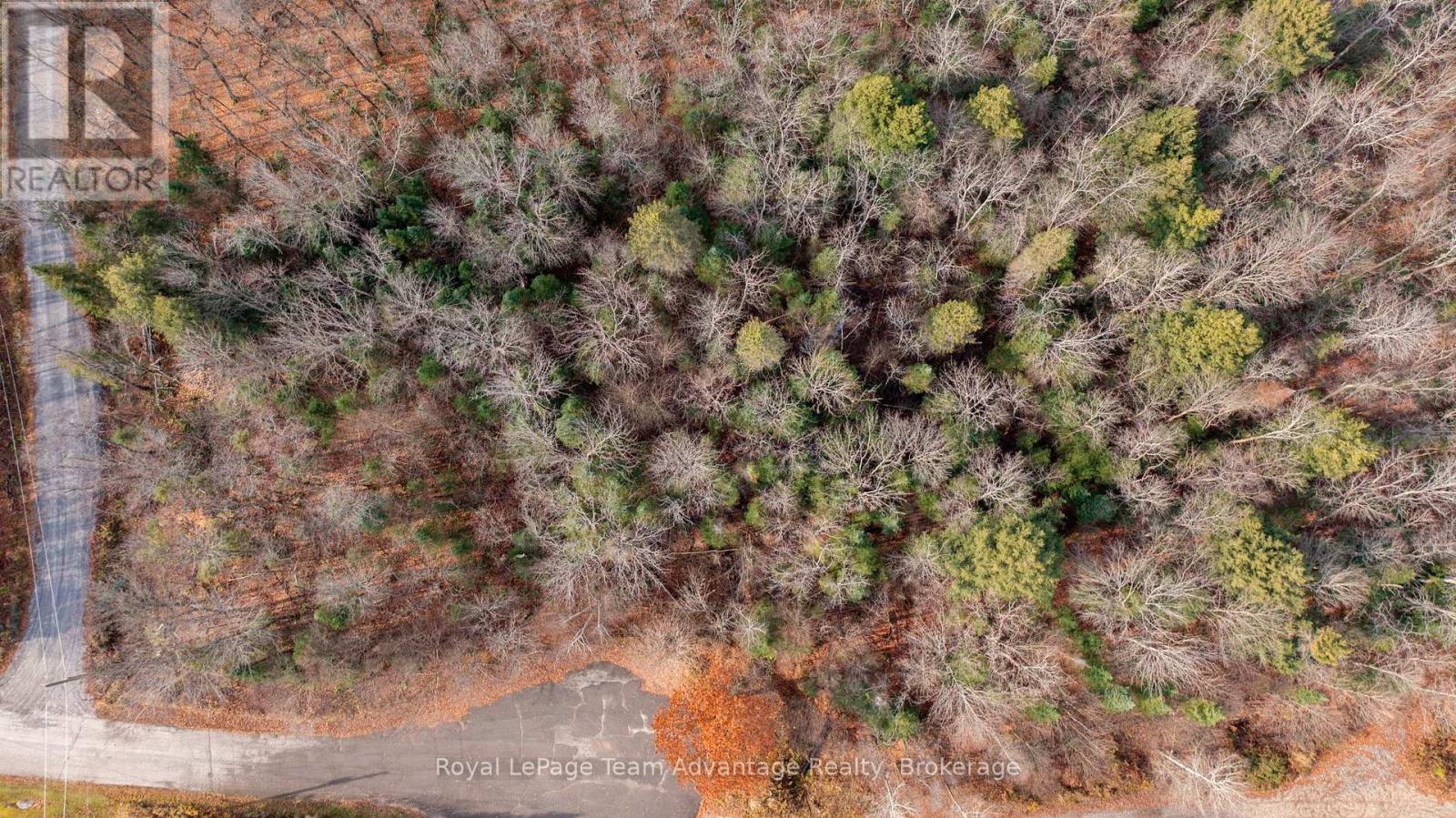 181 Clarkes Lane, Huntsville, Ontario  P0B 1M0 - Photo 13 - X13036492