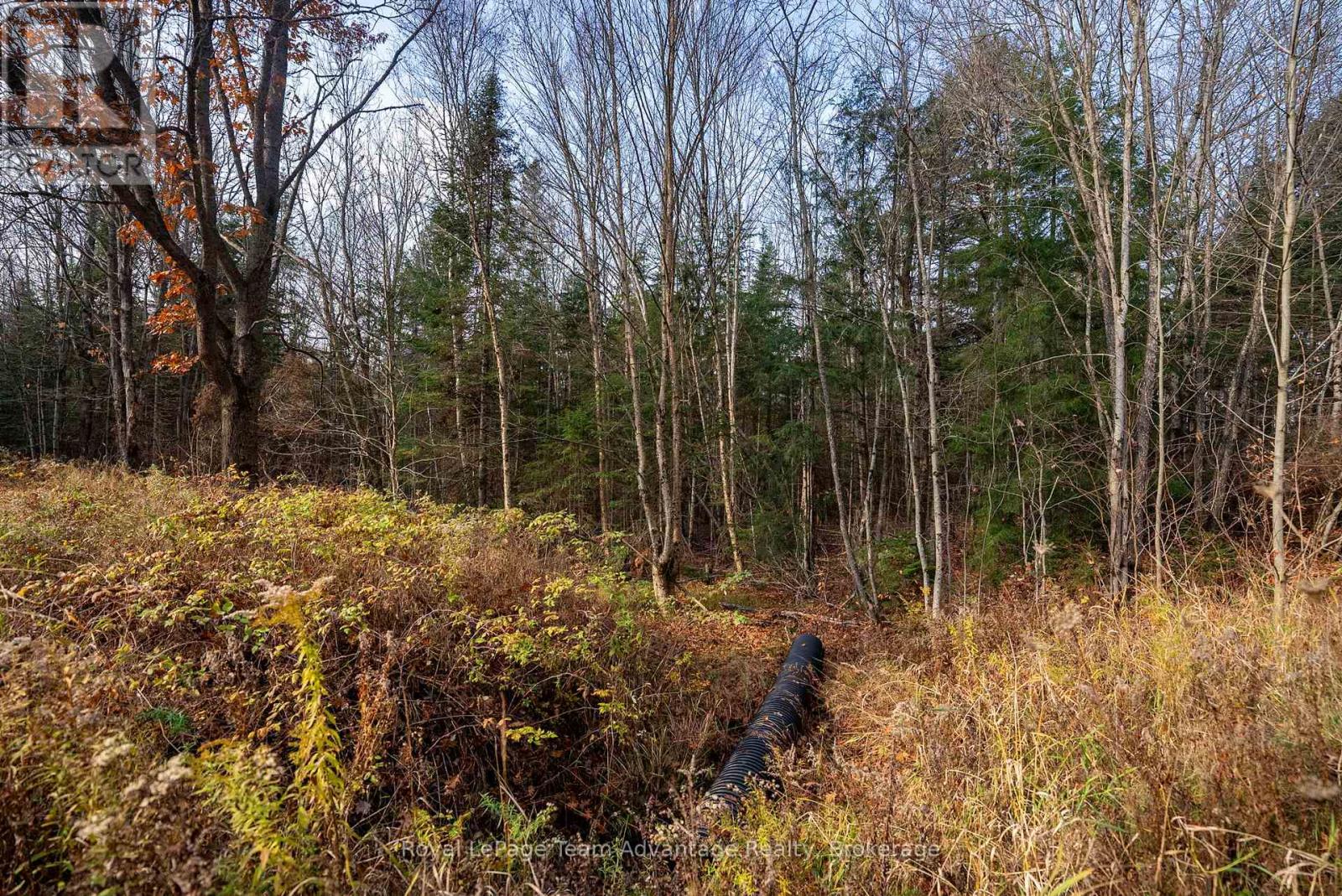 181 Clarkes Lane, Huntsville, Ontario  P0B 1M0 - Photo 14 - X13036492