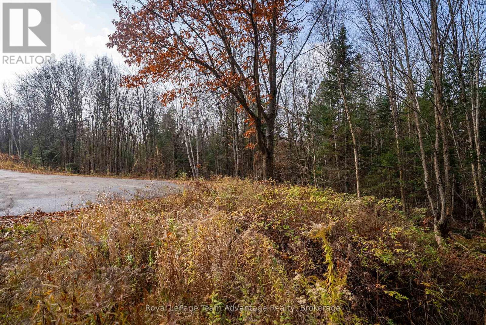 181 Clarkes Lane, Huntsville, Ontario  P0B 1M0 - Photo 15 - X13036492