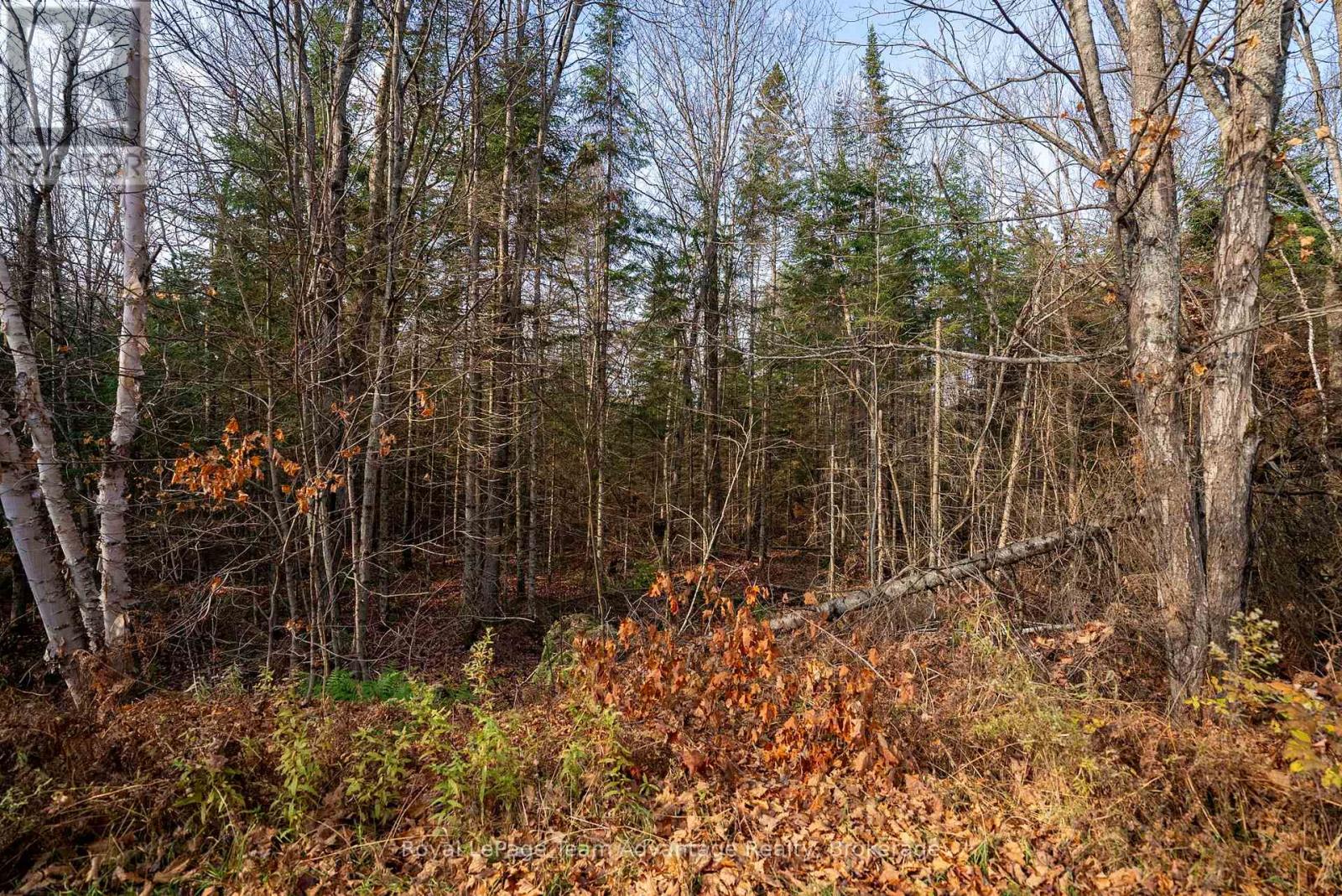 181 Clarkes Lane, Huntsville, Ontario  P0B 1M0 - Photo 16 - X13036492