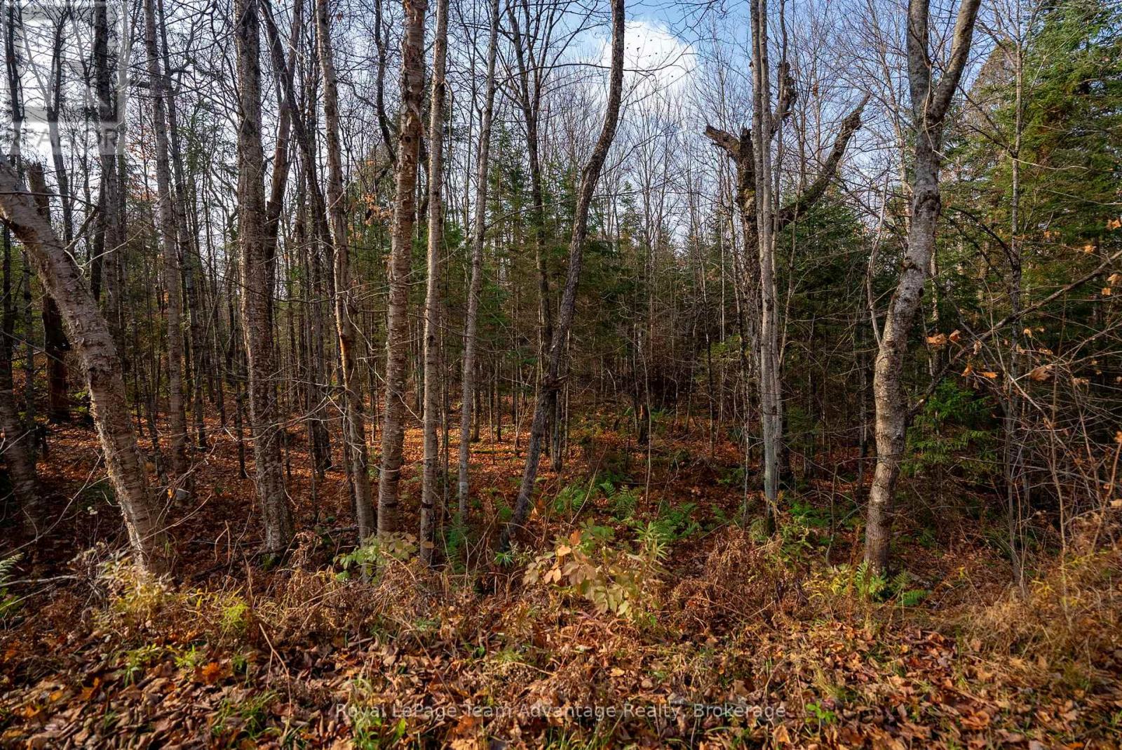 181 Clarkes Lane, Huntsville, Ontario  P0B 1M0 - Photo 17 - X13036492