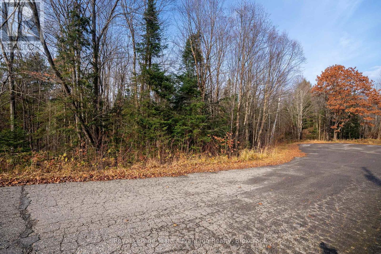 181 Clarkes Lane, Huntsville, Ontario  P0B 1M0 - Photo 18 - X13036492