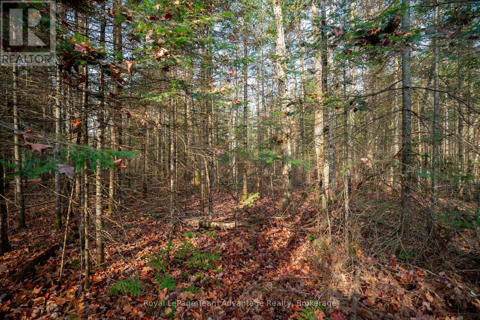 181 Clarkes Lane, Huntsville, Ontario  P0B 1M0 - Photo 19 - X13036492