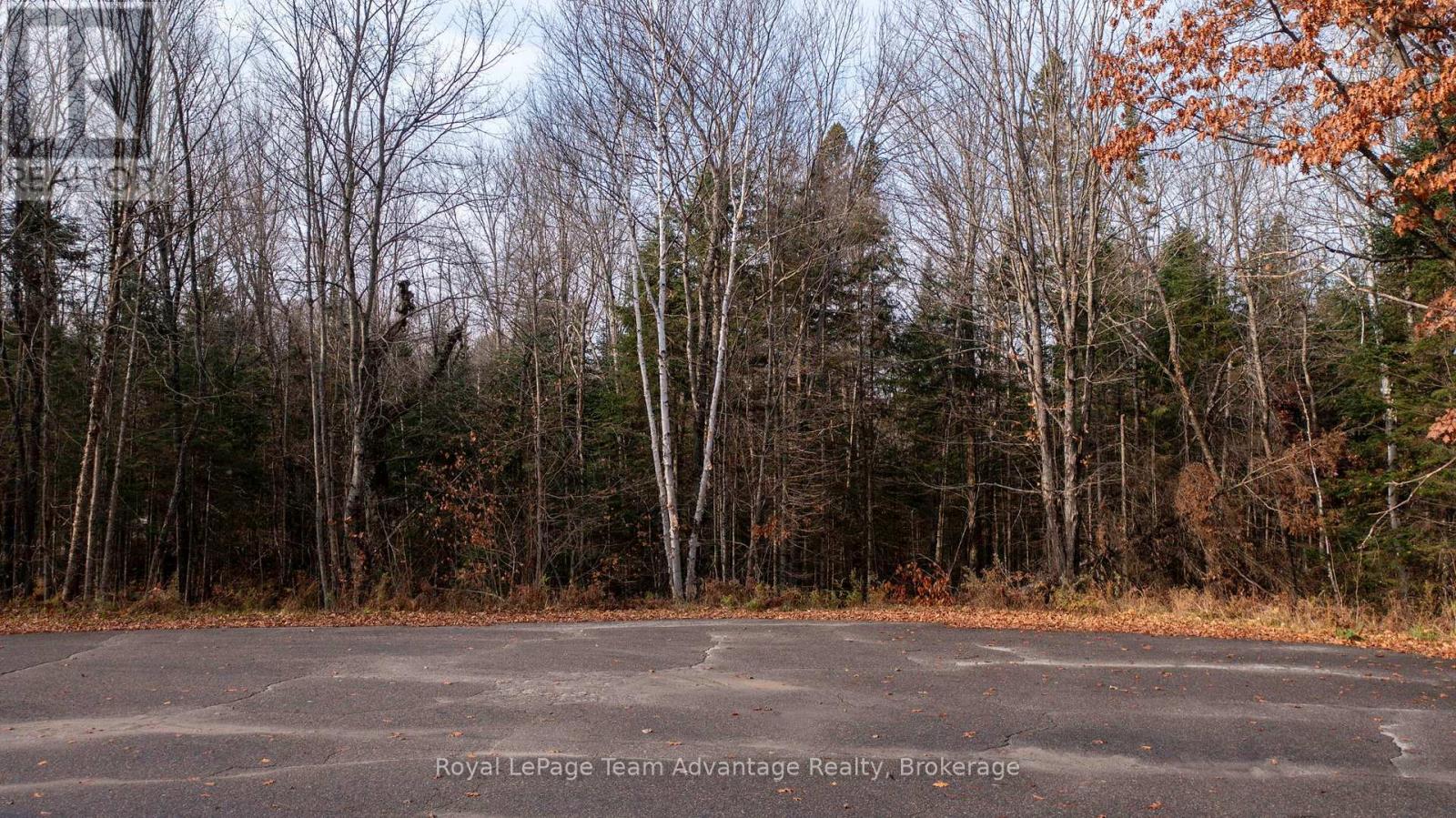 181 Clarkes Lane, Huntsville, Ontario  P0B 1M0 - Photo 2 - X13036492