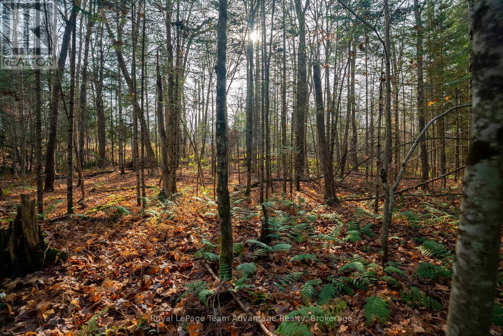 181 Clarkes Lane, Huntsville, Ontario  P0B 1M0 - Photo 20 - X13036492