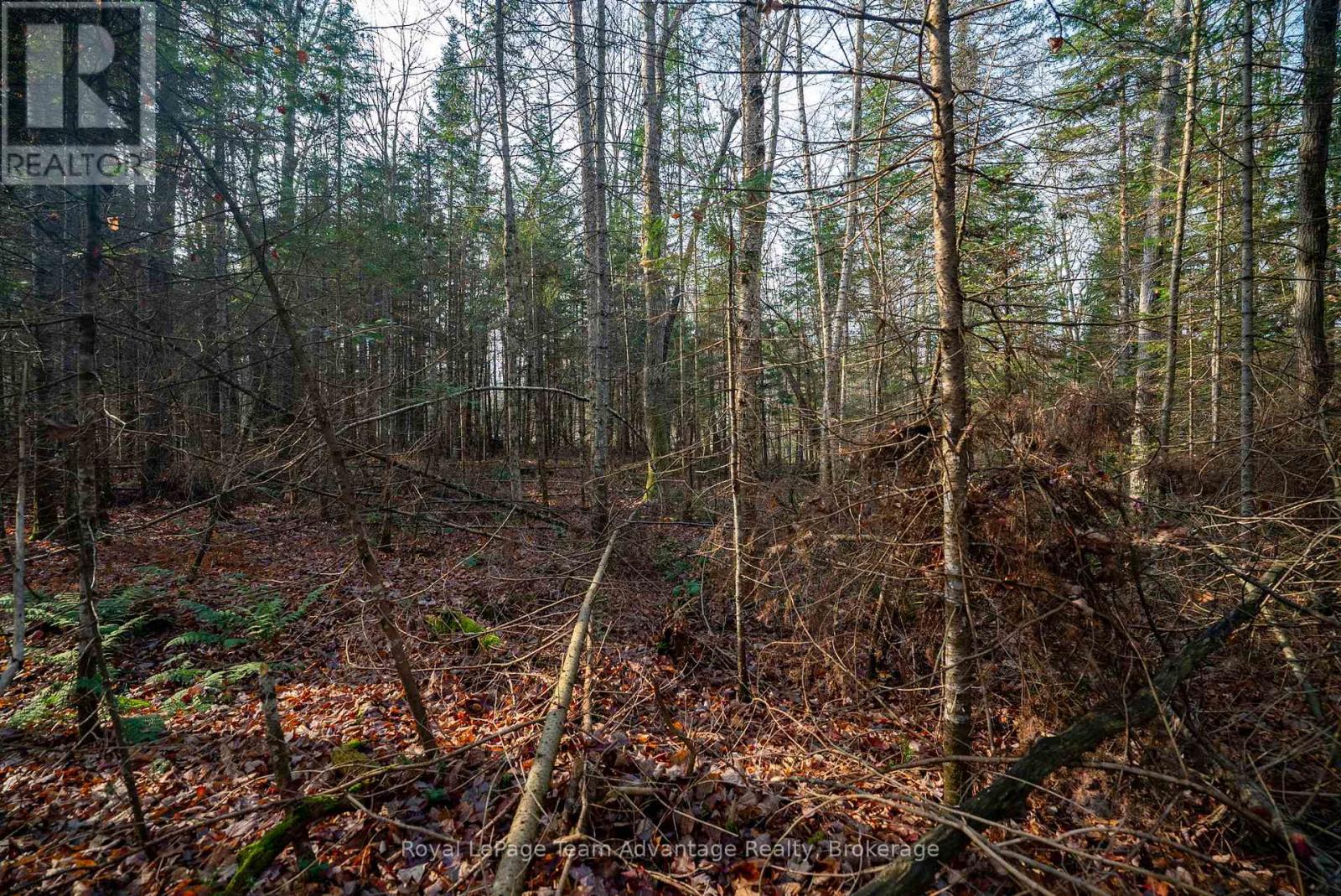 181 Clarkes Lane, Huntsville, Ontario  P0B 1M0 - Photo 21 - X13036492