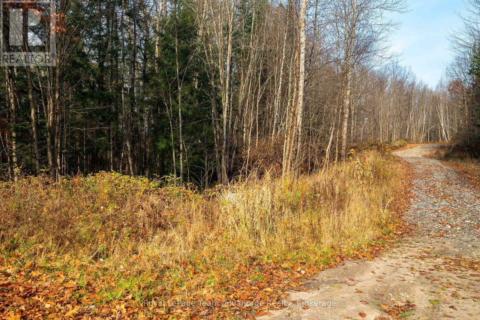 181 Clarkes Lane, Huntsville, Ontario  P0B 1M0 - Photo 22 - X13036492