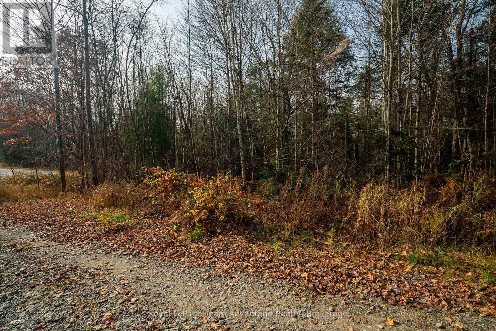 181 Clarkes Lane, Huntsville, Ontario  P0B 1M0 - Photo 24 - X13036492